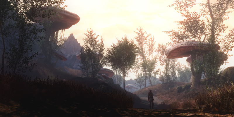 Illustration for article titled High-Res Skywind Looks Like The Morrowind Mod Of My Dreams
